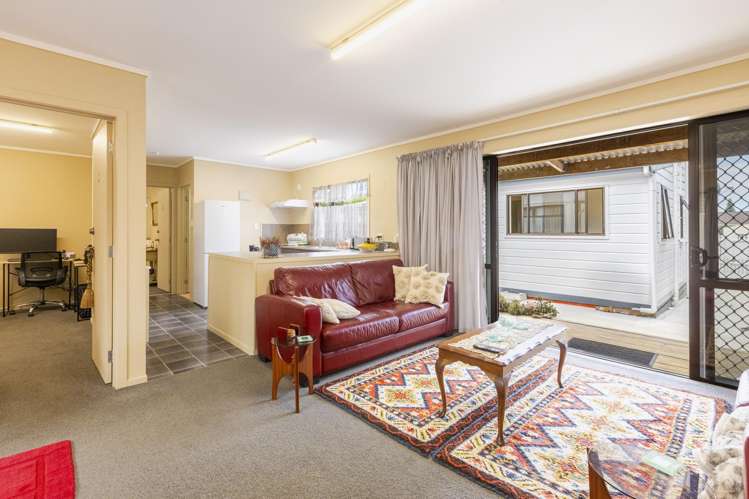 78 McGrath Street Napier South_17