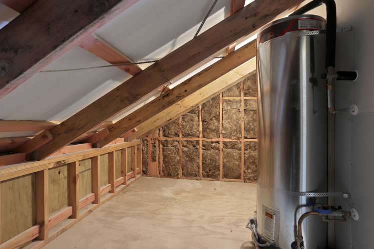 37 Ara Mara Hua Henderson_12