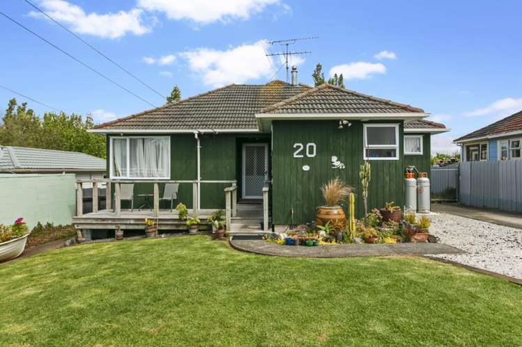 20 Larsen Road Panmure_0