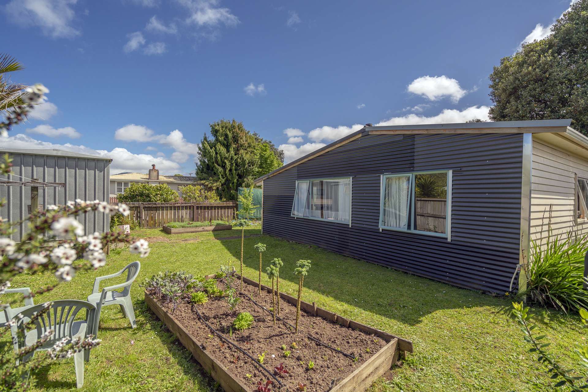 28b White Street Whitianga_0