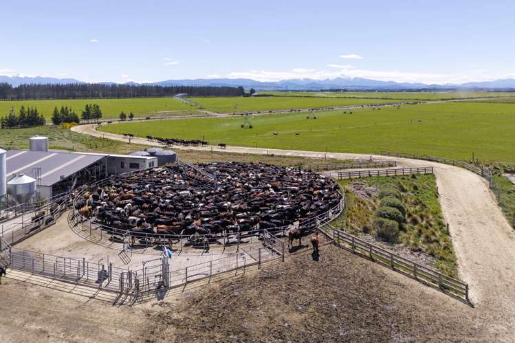 716 Mitchells Road Bankside_11