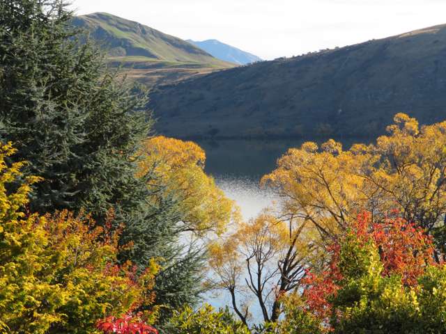 45 Arrowtn-Lke Hayes Road Dalefield/Wakatipu Basin_1