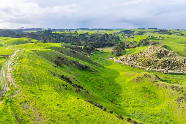 Lot Lot 2, 3 and 4 Mahuta Road_5