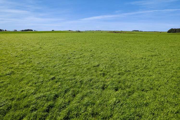 0n Mountain Road Normanby_15