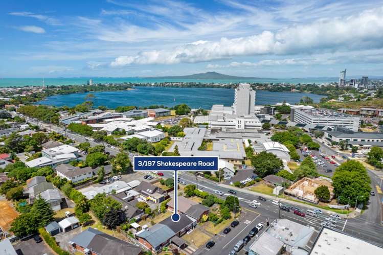 3/197 Shakespeare Road Milford_13