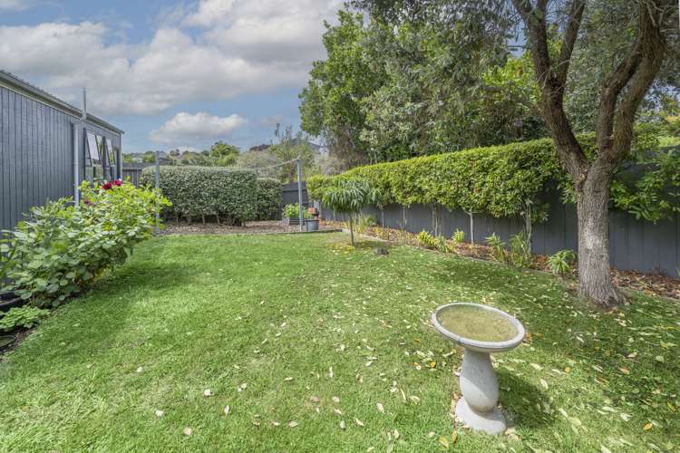 29 Tasman Avenue Mount Albert_2