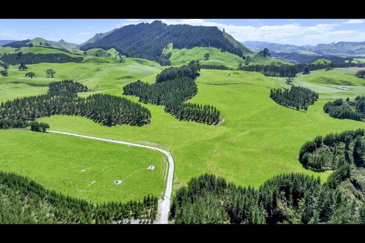 Korako Road Taupo_17