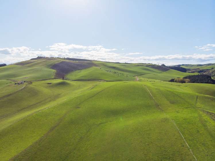 187 Mcnally Road Enfield and Surrounds_8