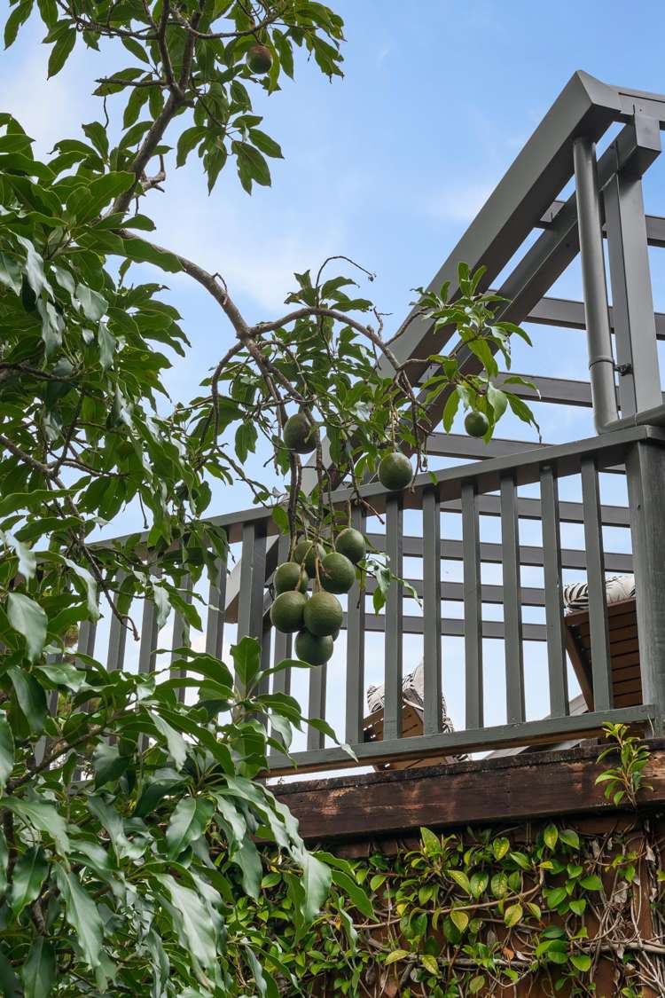 37 Lloyd Road Riverhead_22