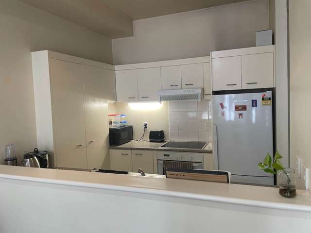 3I/5 Cheshire Street Parnell_4