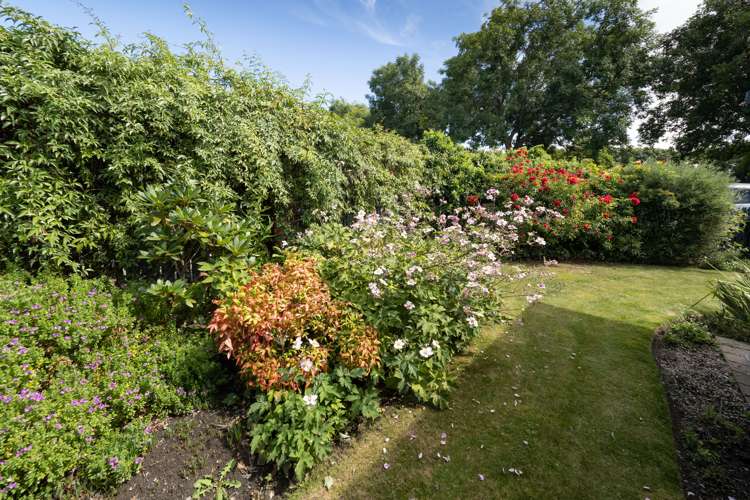 21 Mona Square Ashburton_12