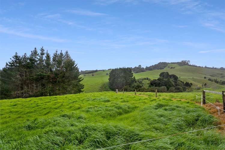 192 Cameron Town Road Pukekohe_17