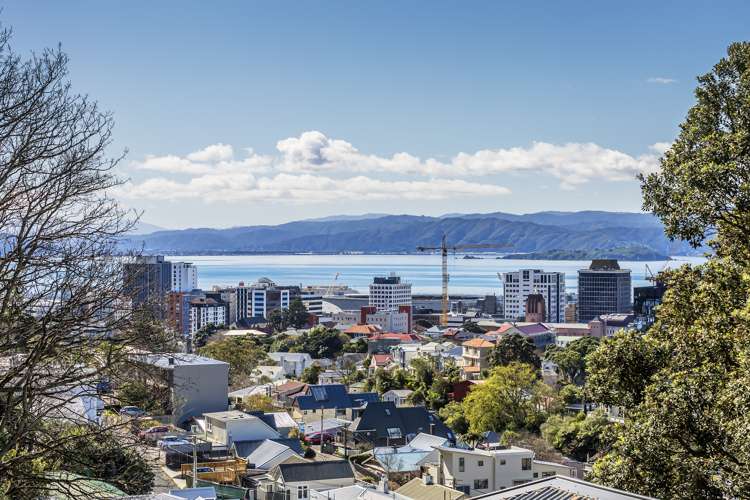 37 Patanga Crescent Thorndon_19