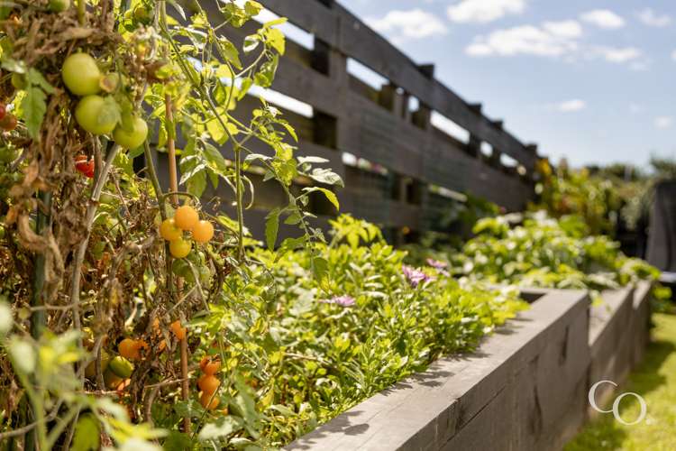 132a Sutherland Road Brookfield_20