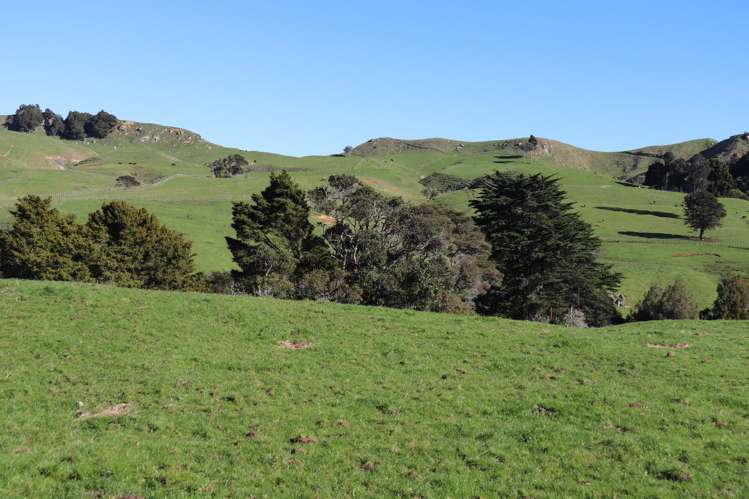 1141 Waingaro Road Glen Massey_3