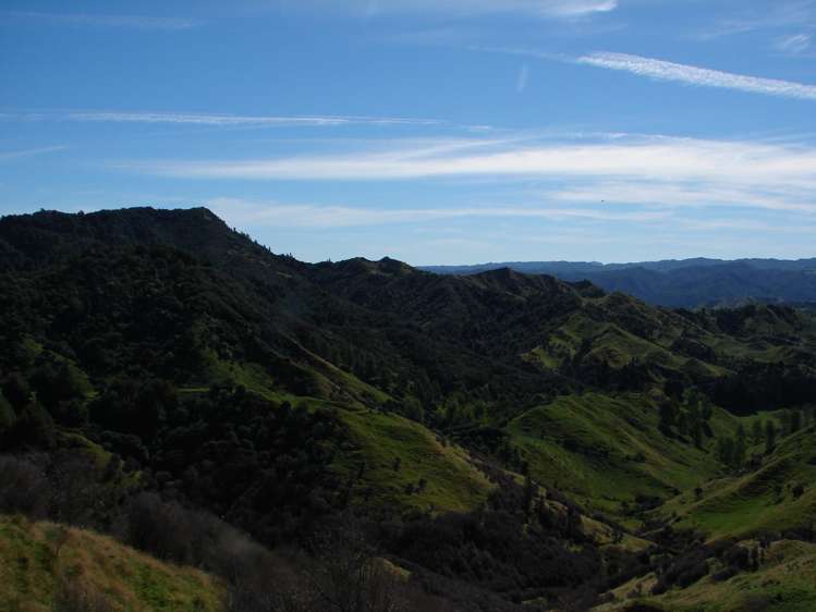 839 Ruatiti Road Raetihi_18