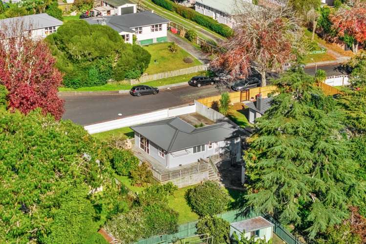36 Mildmay Road Henderson_21