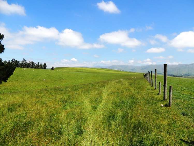 171 Monavale Road Albury_7