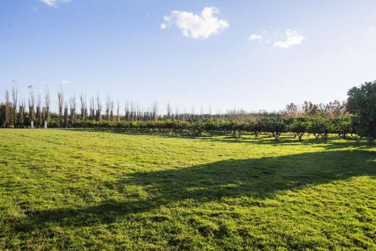 19 Kemp Road Matawhero_26