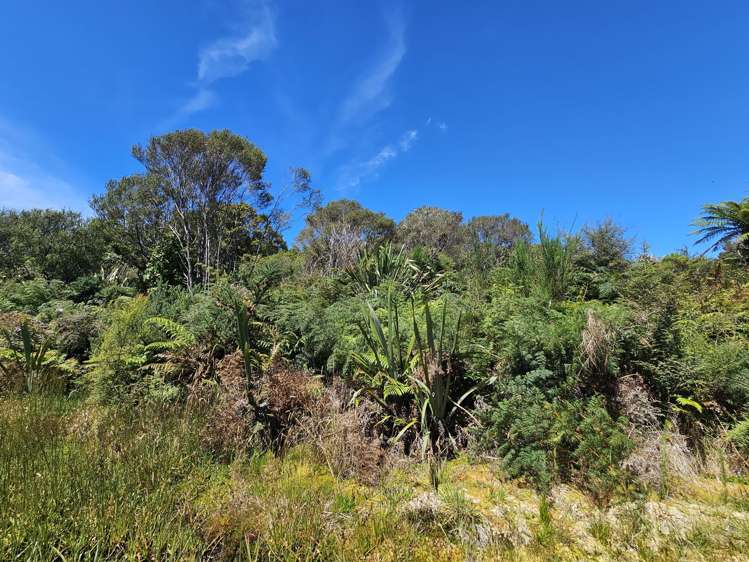 Arnold Valley Road, Stillwater Greymouth_14