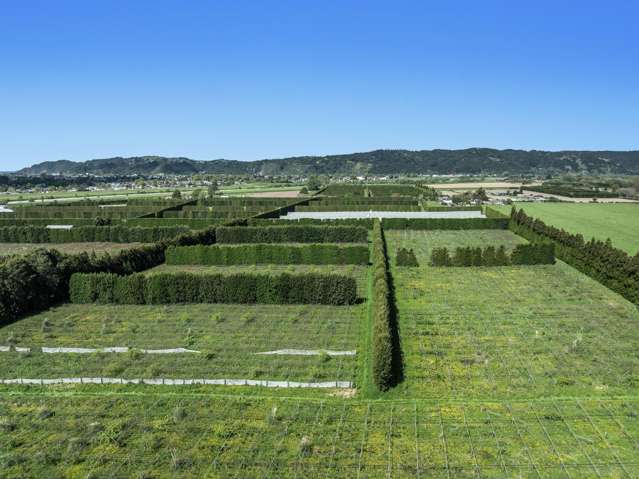 37 Selwyn Road Poroporo_4