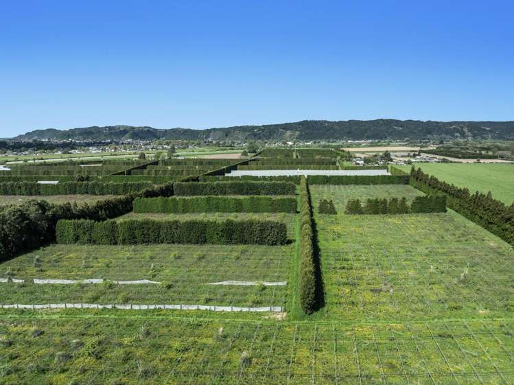 37 Selwyn Road Poroporo_4