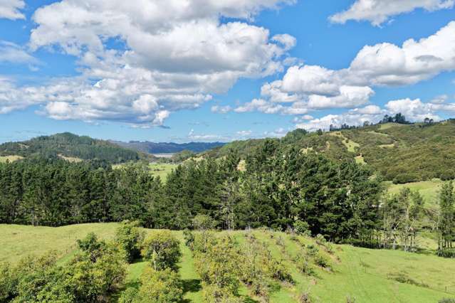 2843B Tairua Whitianga Road Whitianga_4