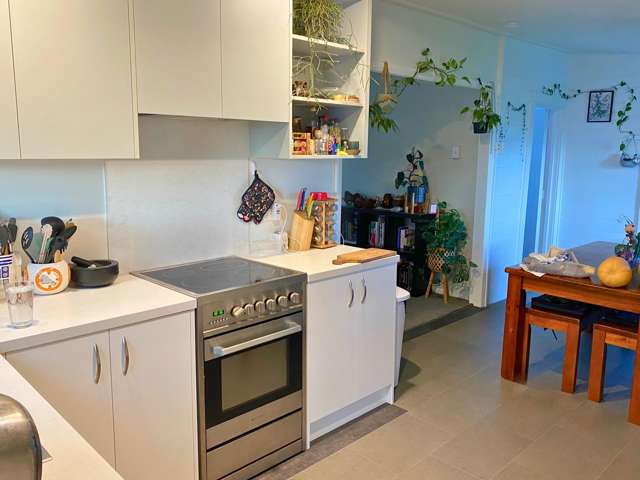 16 Havelock Street Renwick_2