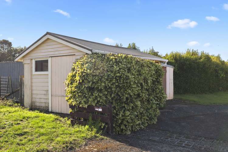 7 Punga Punga Road Pukekawa_16