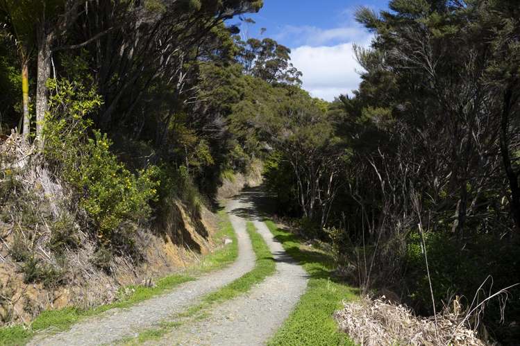 LOT 2 303 Waiaua Road Hihi_17
