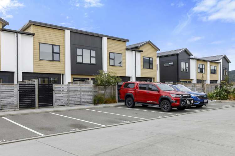 33 Te Ara O Papatahi Wainuiomata_20