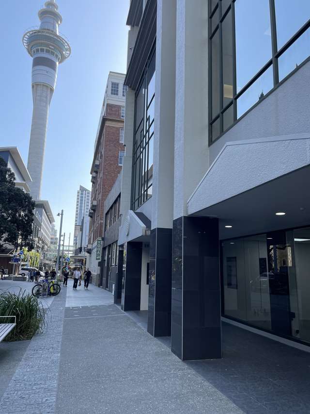 198 Federal Street Auckland Central_4