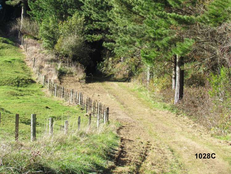 1028 A,B,C McIvor Road Rotoma_19