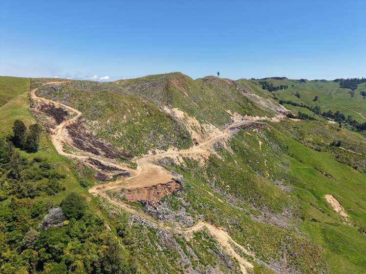 Lot 4 Brown Road Kawhia_3