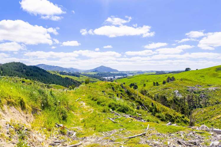 128 Kamea Place Maungaturoto_4