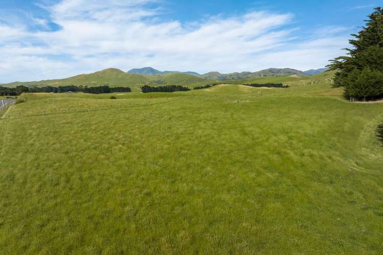 7418 State Highway 1 Ward_23