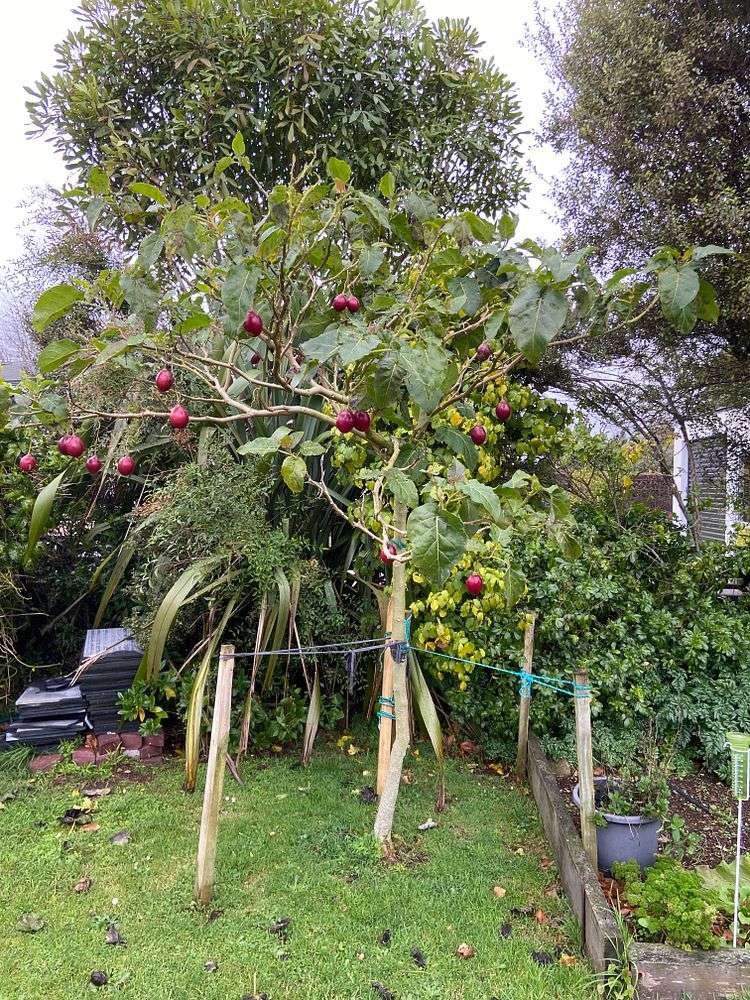 1274 Egmont Road Egmont Village_12