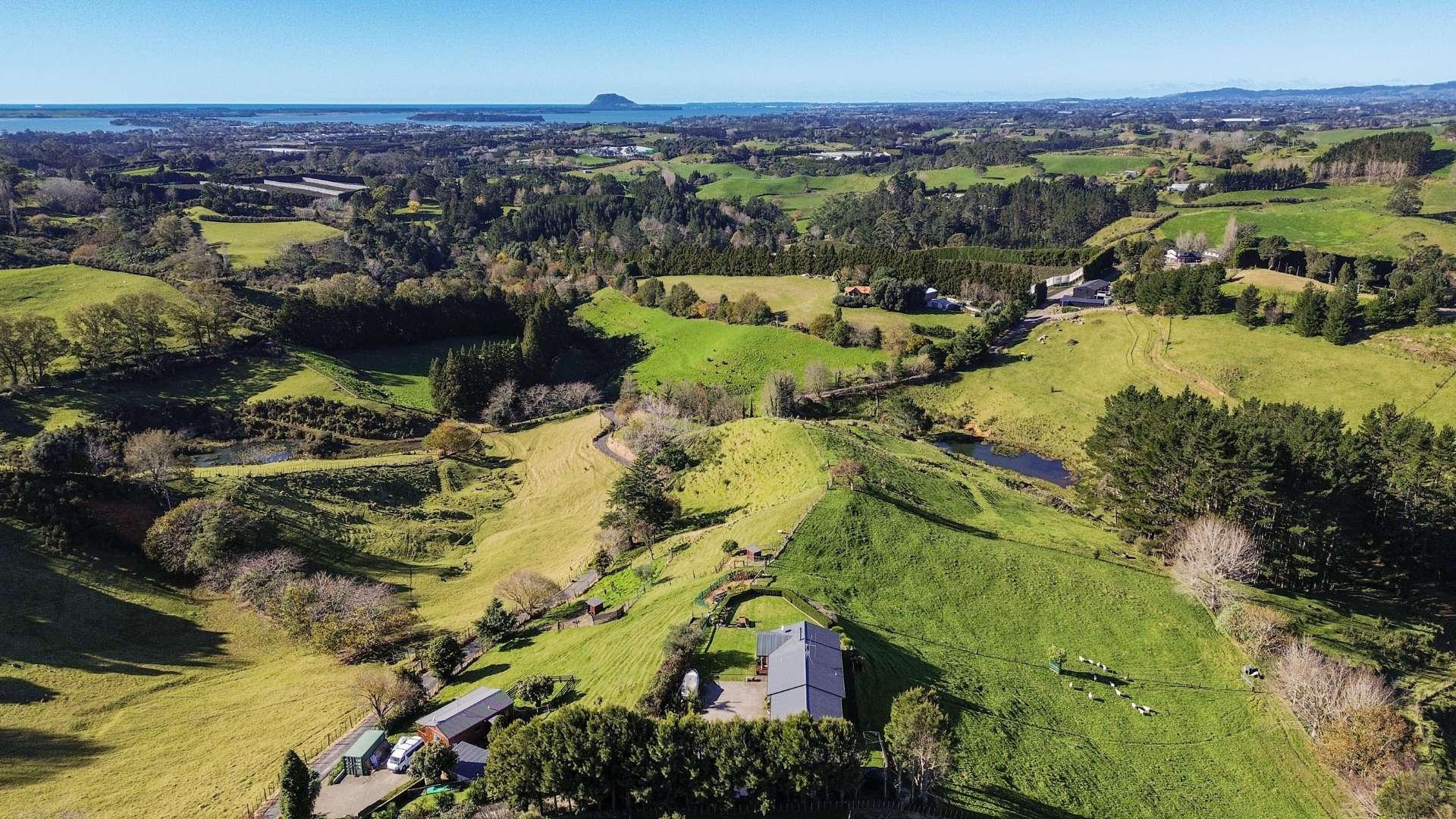 325d Esdaile Road Whakamarama_0