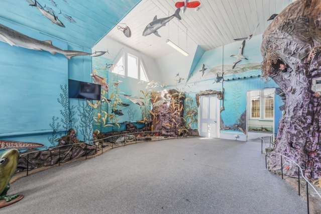 61 Main Road Havelock_2