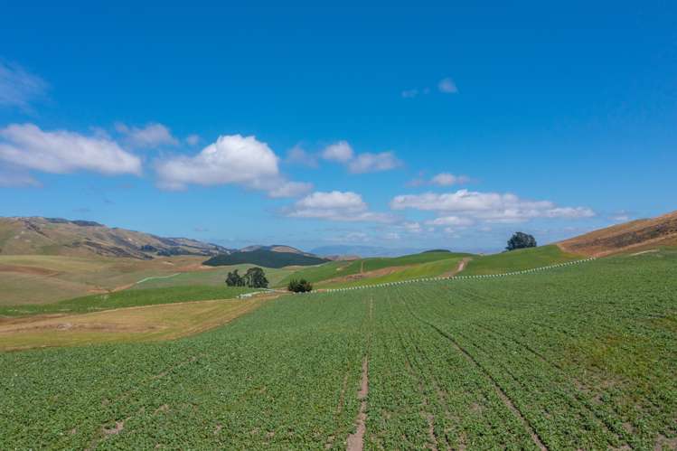 324 Reeces Road Waipara_8