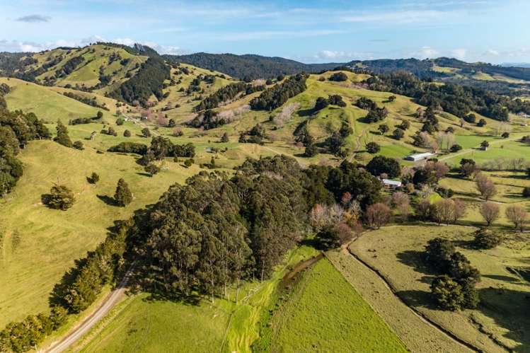 247 Mangataraire Road Horeke_26