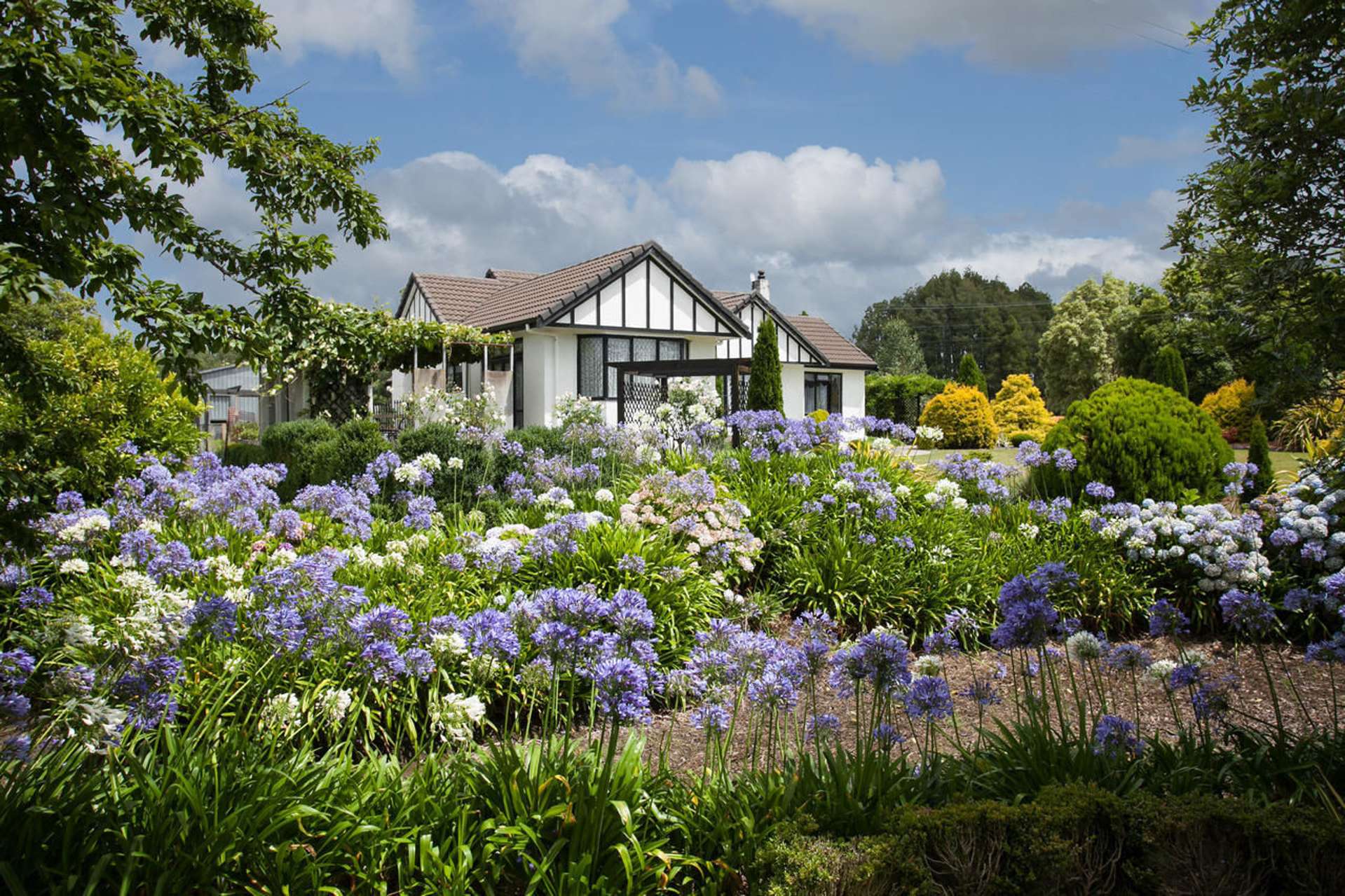 1099 State Highway 23 Whatawhata_0