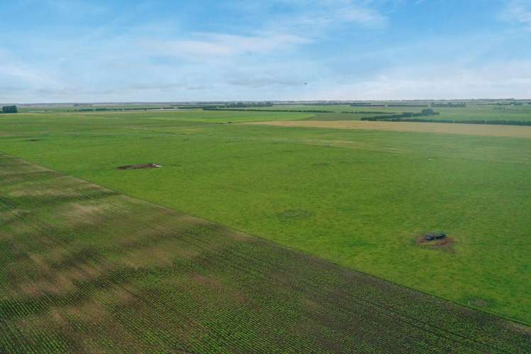 Burnham Road Temuka_17