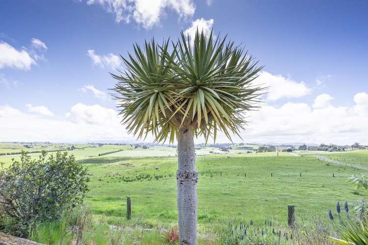 152 Colville Road Dargaville_12