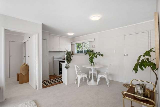 11/62 Grange Road Mount Eden_3