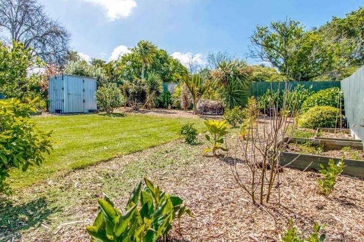 43 Arawa Street New Lynn_10