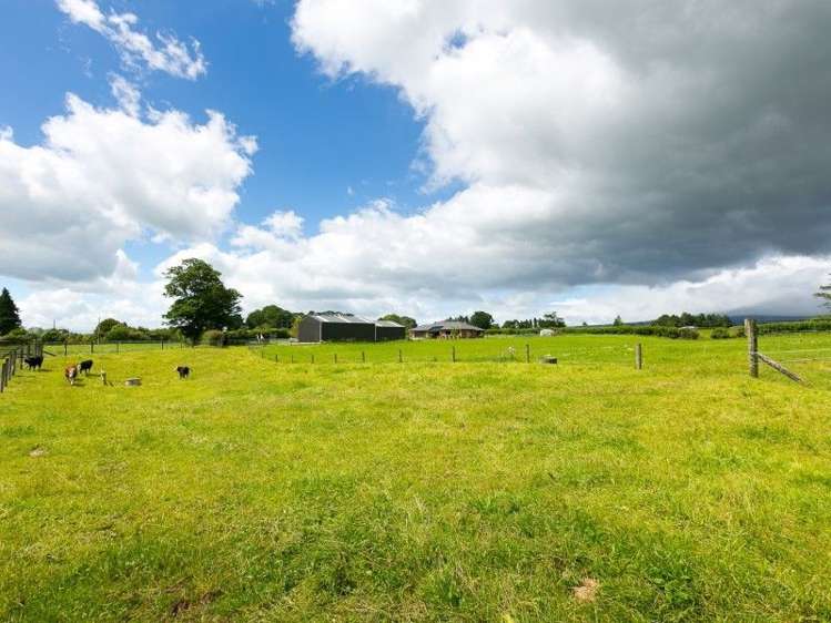 218 Dudley Road Inglewood_16