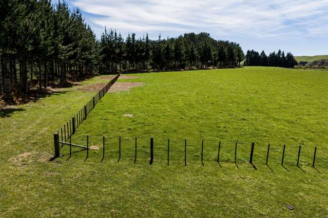 Lot Lot 2/5194 State Highway 50 Tikokino_4