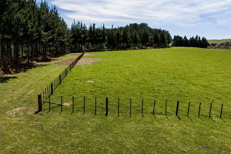 Lot Lot 2/5194 State Highway 50 Tikokino_4