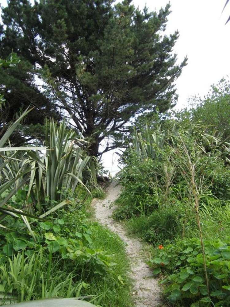 3 Ives Street Hector_19